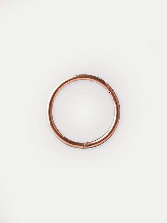 Titanium Plated Hinged Ring 20G | Rose Gold-Image 1