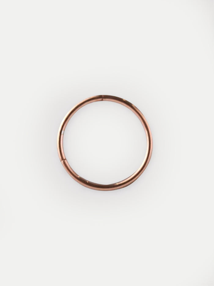 Titanium Plated Hinged Ring 20G | Rose Gold-Image 2