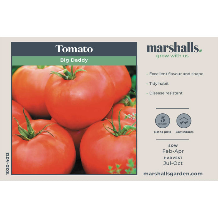 Tomato Seeds 'Big Daddy'