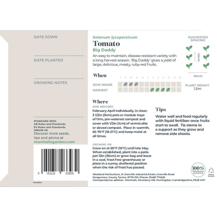 Tomato Seeds 'Big Daddy'