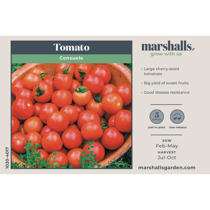 Tomato Seeds 'Consuelo'