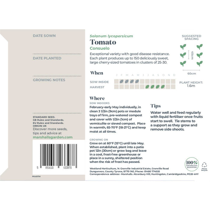 Tomato Seeds 'Consuelo'