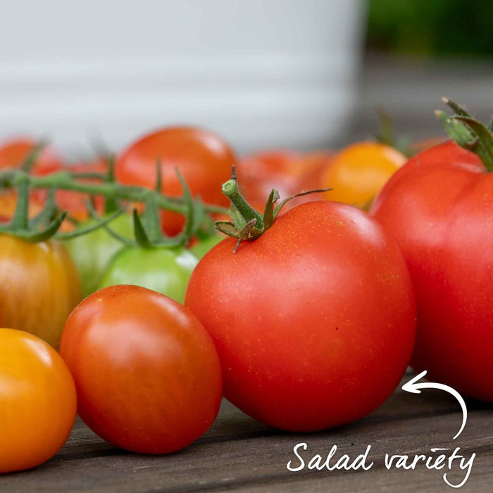 Tomato Seeds 'Crimson Crush'