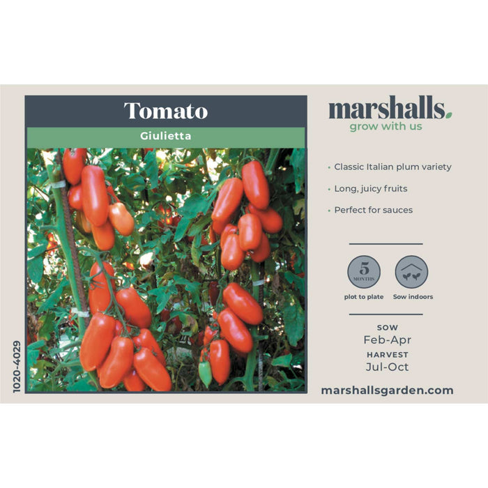 Tomato Seeds 'Giulietta'