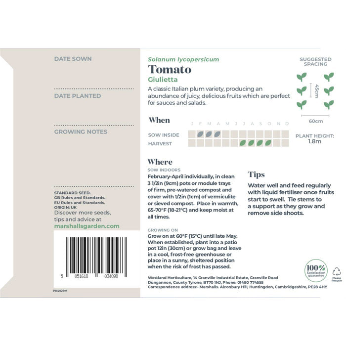 Tomato Seeds 'Giulietta'