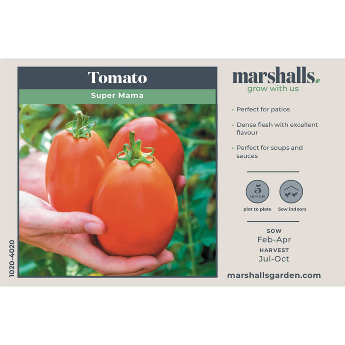 Tomato Seeds 'Super Mama'