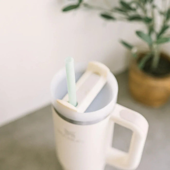 Simply Straws Tumbler 12" Glass Straw Set - Air