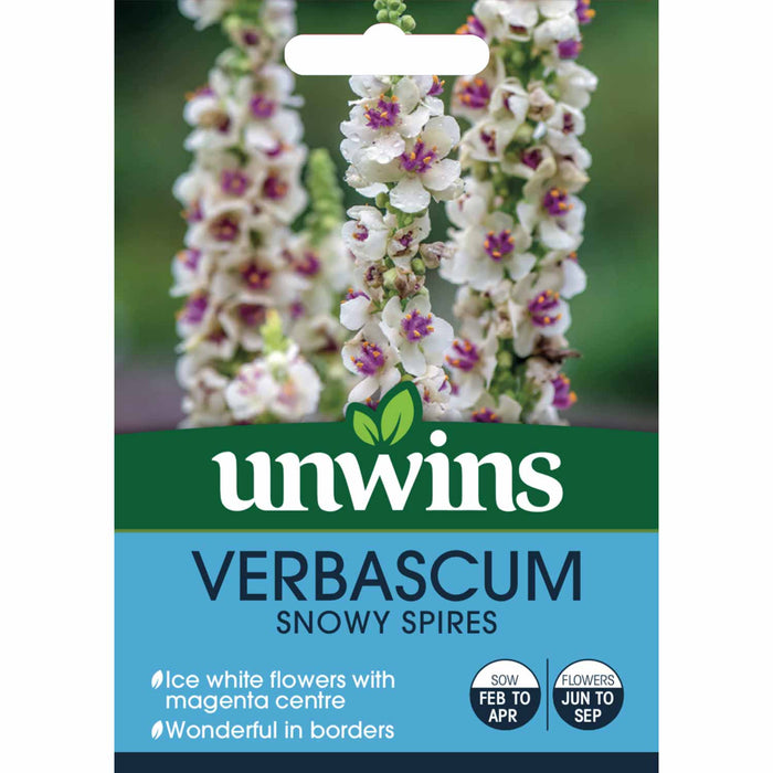 Unwins Verbascum Seeds 'Snowy Spires'