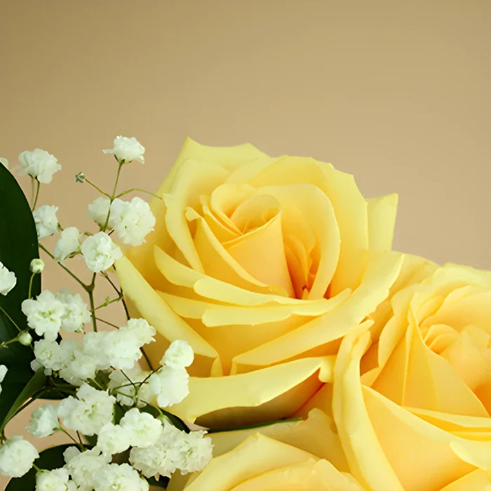Valentine's Day Dozen Roses Bouquet for Fundraising