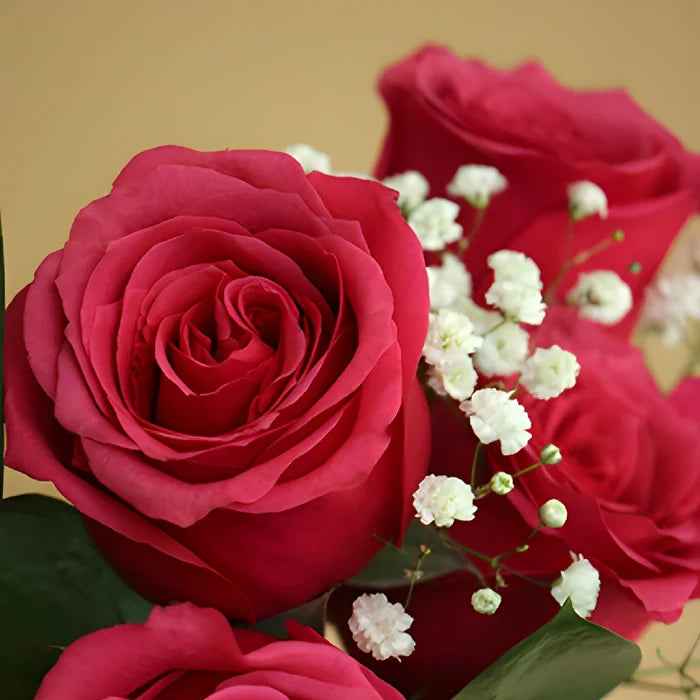 Valentine's Day Dozen Roses Bouquet for Fundraising
