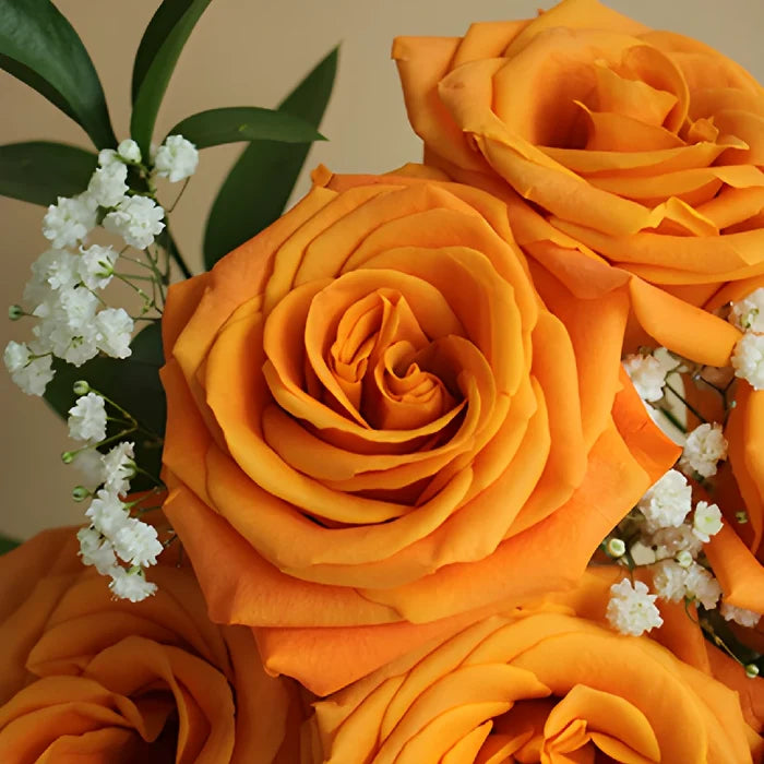 Valentine's Day Dozen Roses Bouquet for Fundraising