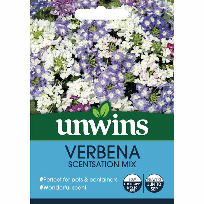 Verbena Seeds 'Scentsation Mix'