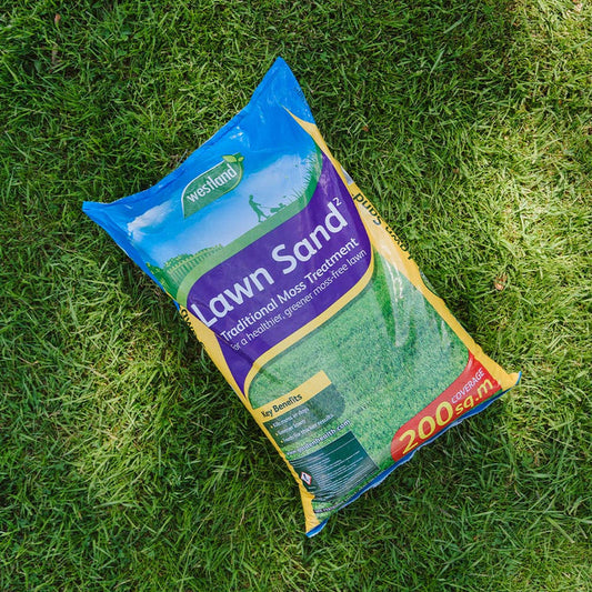 Westland Lawn Sand 200sqm on lawn