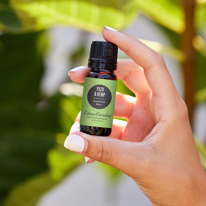 Yuzu & Hemp Essential Oil Blend- A Unique Aroma Meant To Dazzle The Senses